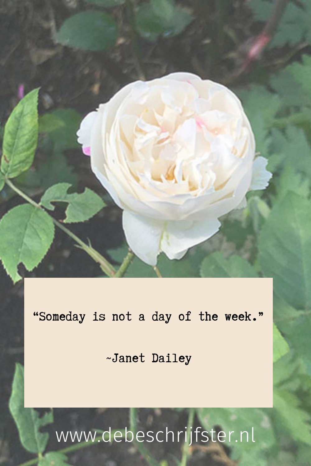‘Someday is NOT a day of the week.’ Janet Dailey